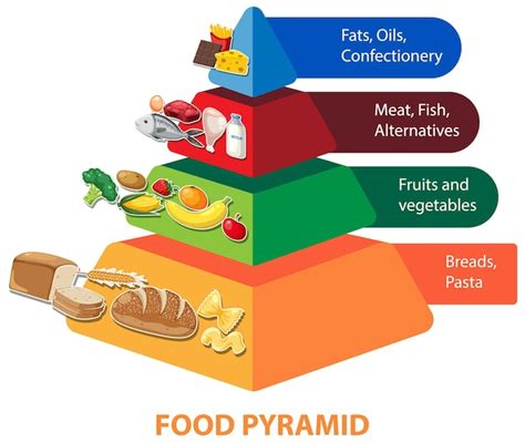 Premium Vector | Cartoon food pyramid infographic a nutritional guide