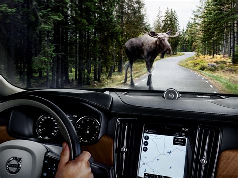 Volvo's Large Animal Detection System Spots Moose, Deer, and Hits the Brakes | WIRED