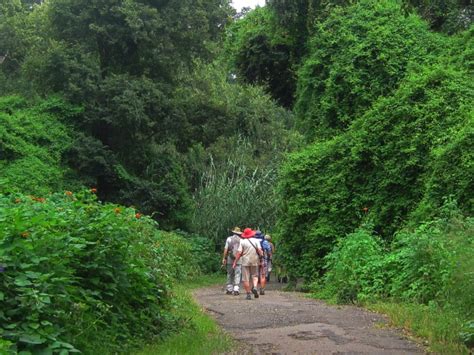 Hikers On Hiking Trail Free Stock Photo - Public Domain Pictures