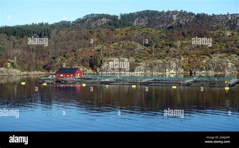 Salmon farm, Hurtigruten cruising, Norway Stock Photo - Alamy