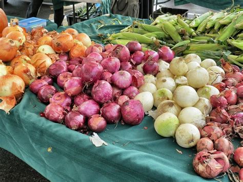 Liberty Village Farmers' Market 2014