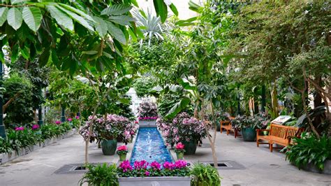 US Botanic Garden to Fully Reopen: Things to Do DC – NBC4 Washington