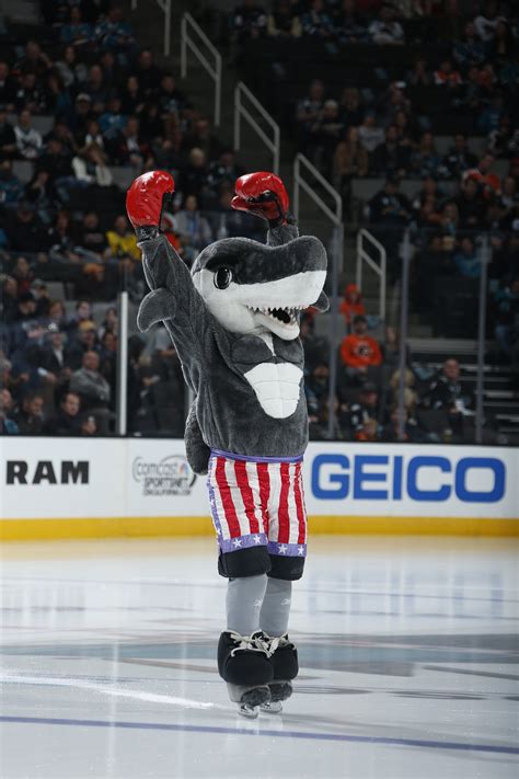 Sharkie | The Mascot Company