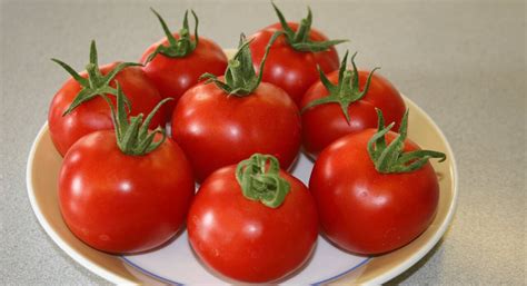 Organic Tomato Seed | Kings Seeds