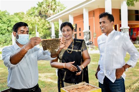 Rajarata University of Sri Lanka established an Apiary at Mihintale ...