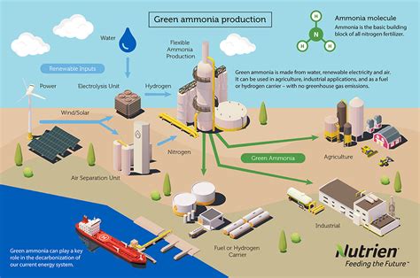 Collaboration Is Key To Our Blue And Green Ammonia Journey | Nutrien