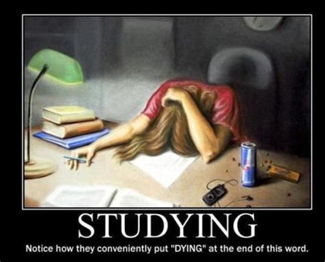 Studying Meme