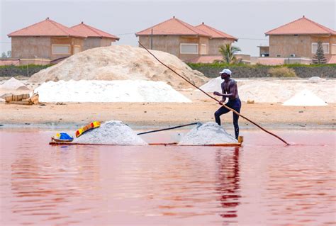 The Pink Lake - SENEGAL SHUTTLE