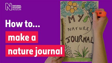 How to make a nature journal so you can record wildlife like a ...