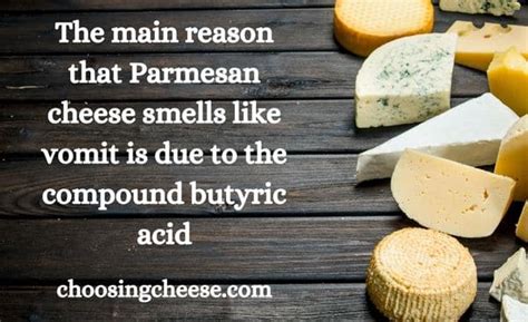 Can You Handle the Truth About Parmesan Cheese’s Pungent Odor? - Cheese ...