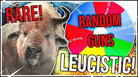 We got a VERY RARE LEUCISTIC bison on a RANDOM GUN hunt! | theHunter ...