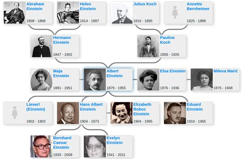 Albert Einstein’s family tree - Blog for Entitree