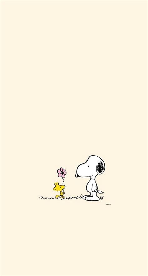 Share more than 92 snoopy and woodstock wallpaper latest - in.coedo.com.vn