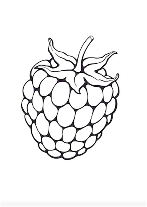 Download and Print Raspberry Fruit Coloring Page for Kids in 2022 | Fruit coloring pages ...