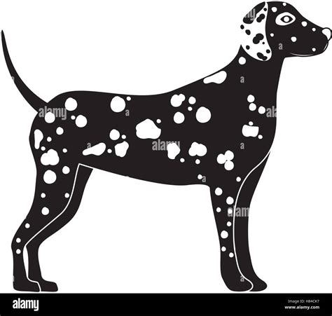 silhouette of cute dalmatian dog animal icon over white background. side view. vector ...