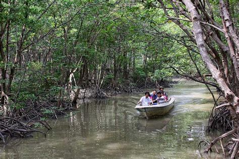 Private Tour: Đạp Xe Khám Phá Hệ Sinh Thái Rừng Ngập Mặn Cần Giờ (Từ TP. Hồ Chí Minh) - KKday