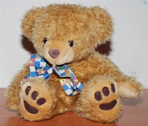File:Teddy Bear front flash.jpg - Wikimedia Commons