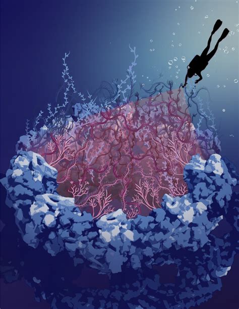 Illustration nuclear pore comp [IMAGE] | EurekAlert! Science News Releases