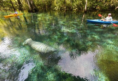 Silver Springs State Park | Florida State Parks