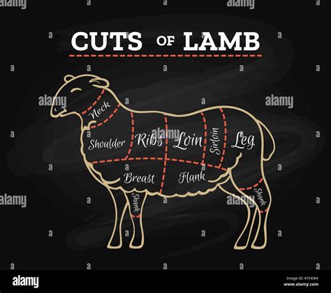 Cuts of meat diagram hi-res stock photography and images - Alamy