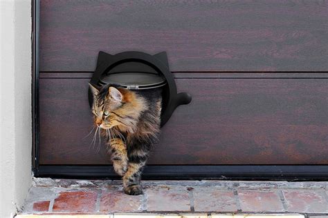 Keep Your Cats Safe With These Outdoor Cat Doors - JammieCat.com