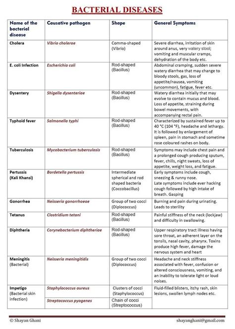 Summary of Bacterial Diseases | Medical lab technician, Medical terminology study, Medical ...