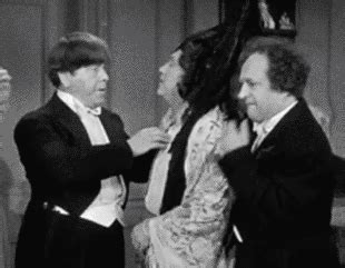 The Three Stooges Gif - Gif Abyss