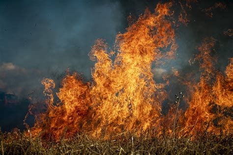 'Black Tuesday' bushfires linked to PTSD - Scimex