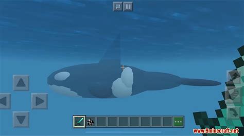 Orca / Killer Whale Addon (1.19, 1.18) - MCPE/Bedrock Mod - Mc-Mod.Net