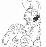 Cartoon Zoo Animals Coloring Pages At GetColoringscom  Free Printable sketch template
