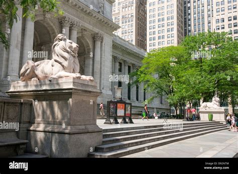 The twin lions in front of the New York Public Library at Fifth Avenue ...