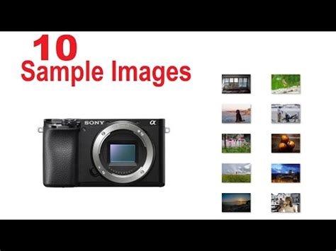 Sony a6100 Sample Images ILCE-6100 [Photo Gallery] Great Camera for Beginners and Intermediate ...