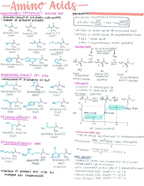 Amino Acid Chart MCAT Cheat Sheet Study Guide, 41% OFF