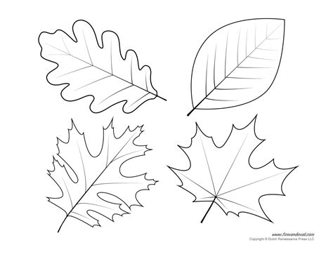 Leaf Templates & Leaf Coloring Pages for Kids | Leaf Printables