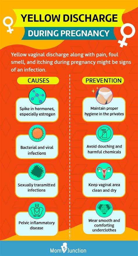 Yellow Discharge During Pregnancy Possible Causes And Treatment – Theme Route