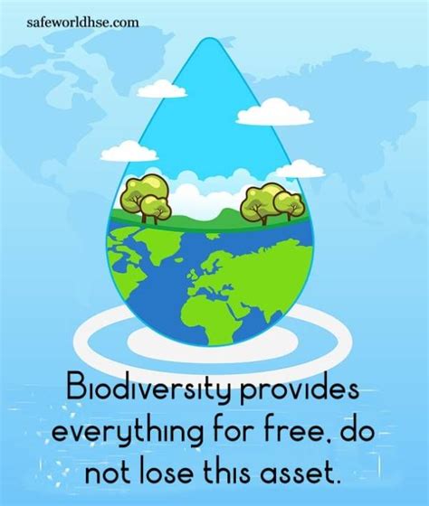 World Environment Day 2020: Best slogans, images, and posters on Biodiversity in 2021 | World ...