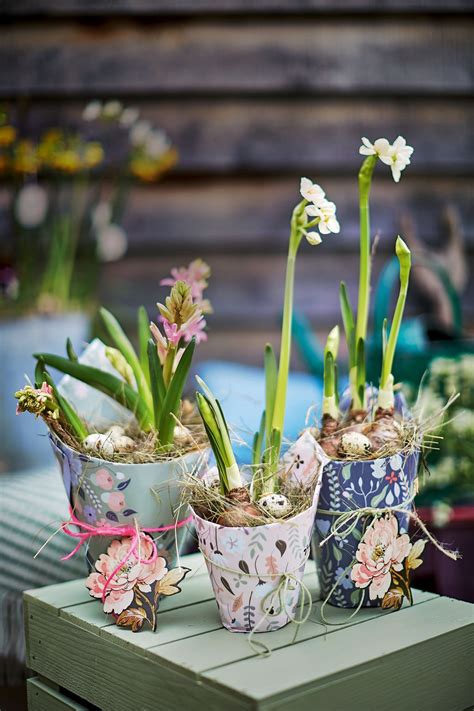 How to force bulbs: tips for growing in soil | Homes & Gardens