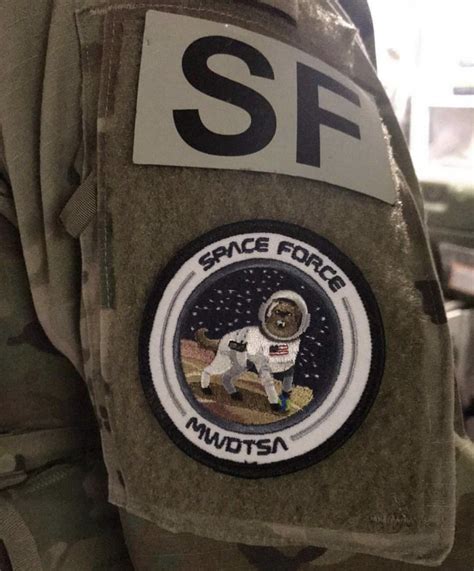 MWDTSA Space Force Patch - MWDTSA