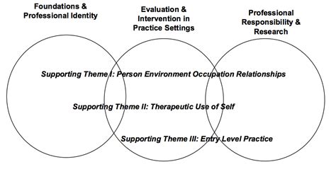 Occupational Therapy Curriculum | The Sage Colleges