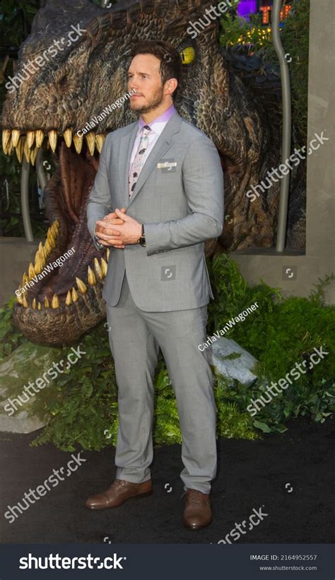 Chris Pratt Attends Premiere Jurassic World Stock Photo 2164952557 ...