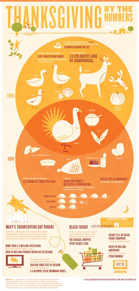 Thanksgiving Infographic