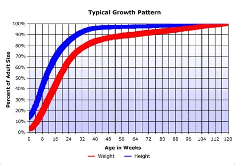 Standard poodle growth chart? | Poodle Forum