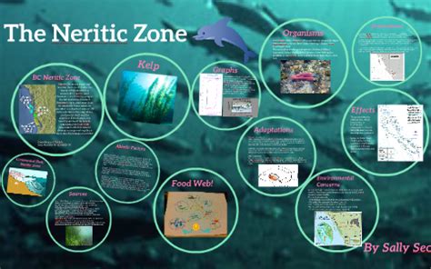 Neritic Zone by Sally Seo on Prezi