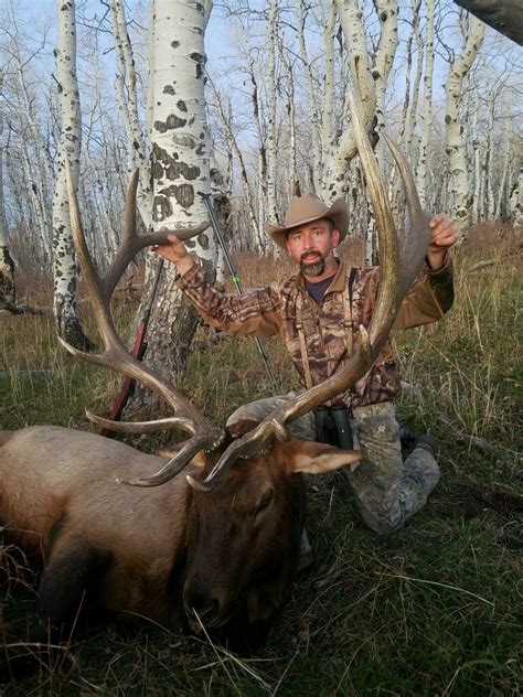 Colorado Elk Hunt | True Life Taxidermy