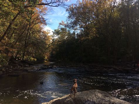 Wissahickon Valley Park - WorldAtlas