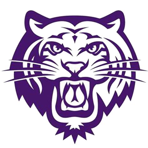 Pickerington Central Tigers Girls Basketball - Pickerington, OH - scorebooklive.com