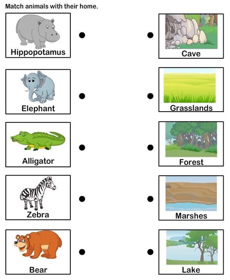 Animals Habitat Worksheet Grade 3