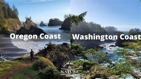 Oregon Coast vs Washington Coast. Which One is Better?