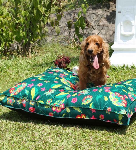 Buy Forest Cyanic Pop Burst Green Fabric Dog Mat at 5% OFF by India Circus by Krsnaa Mehta ...