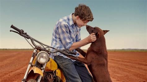 Red Dog: True Blue (2016) - Titlovi.com